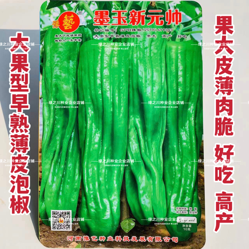 墨玉新元帅辣椒种子大果薄皮泡椒种子早熟皮薄肉脆好吃高产