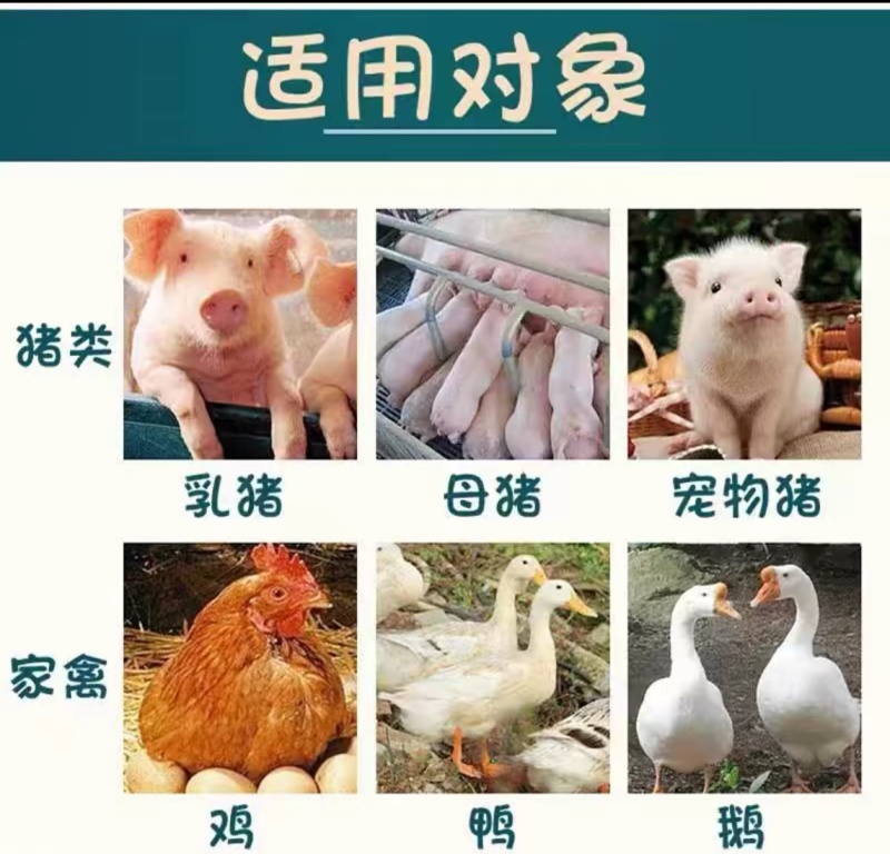 秘鲁进口鱼粉国产脱脂鱼粉鱼骨粉猫狗蛋鸡鸭猪狐狸宠物饲料添加剂