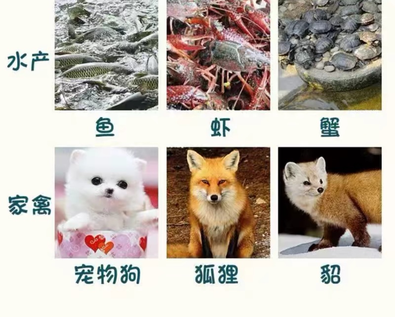 秘鲁进口鱼粉国产脱脂鱼粉鱼骨粉猫狗蛋鸡鸭猪狐狸宠物饲料添加剂