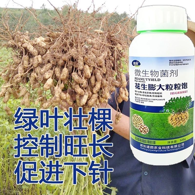 花生膨大叶面肥粒粒饱绿叶壮棵颗粒饱满花生膨大剂