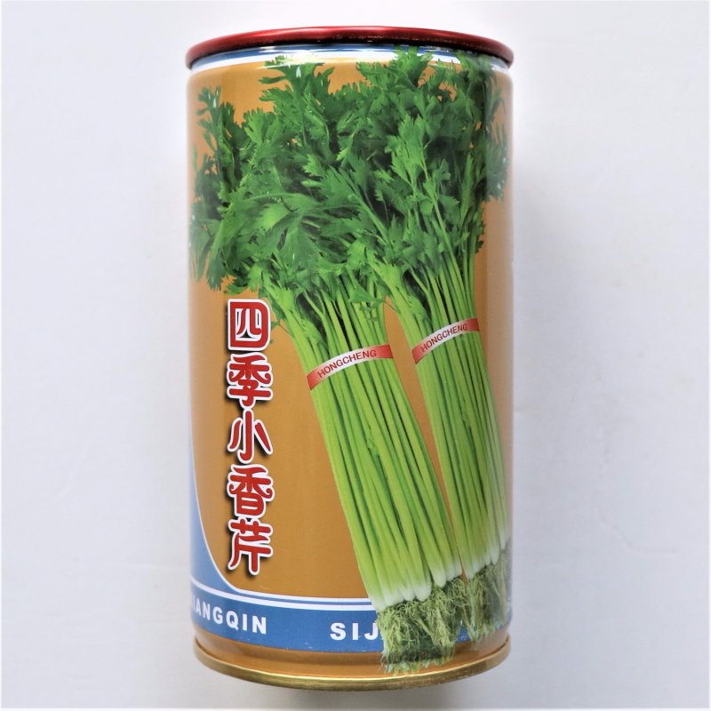 四季小香芹芹菜种子实心浅绿速生香芹种籽蔬菜