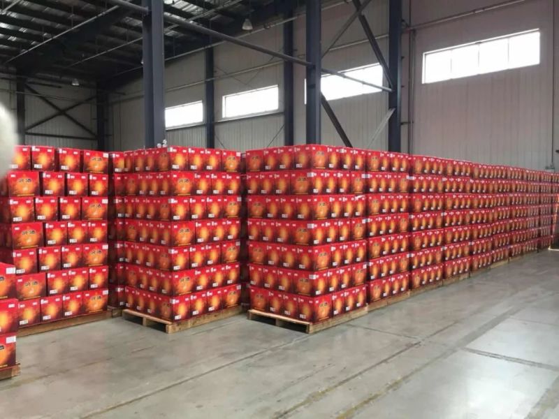汾酒白酒汾酒白酒汾酒经典高脖绿瓶45度500m