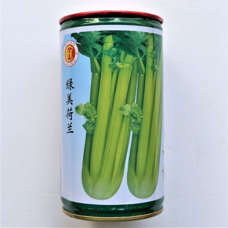 绿美荷兰芹菜种子速生西芹种籽前期耐寒后期耐热