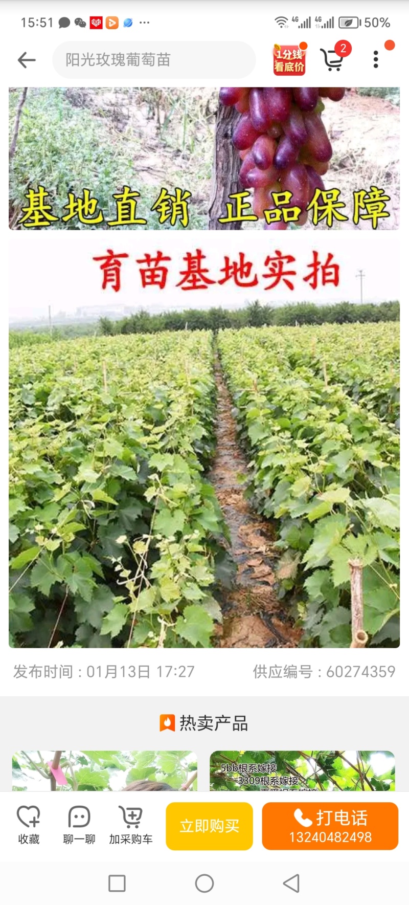 精品户太八号葡萄苗：阳光玫瑰葡萄苗，红提葡萄苗，嫁接苗