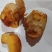 鸡宝