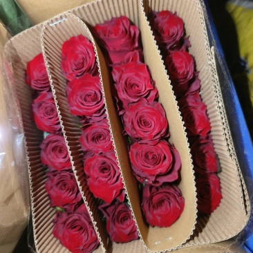 各级精品玫瑰鲜花供应
