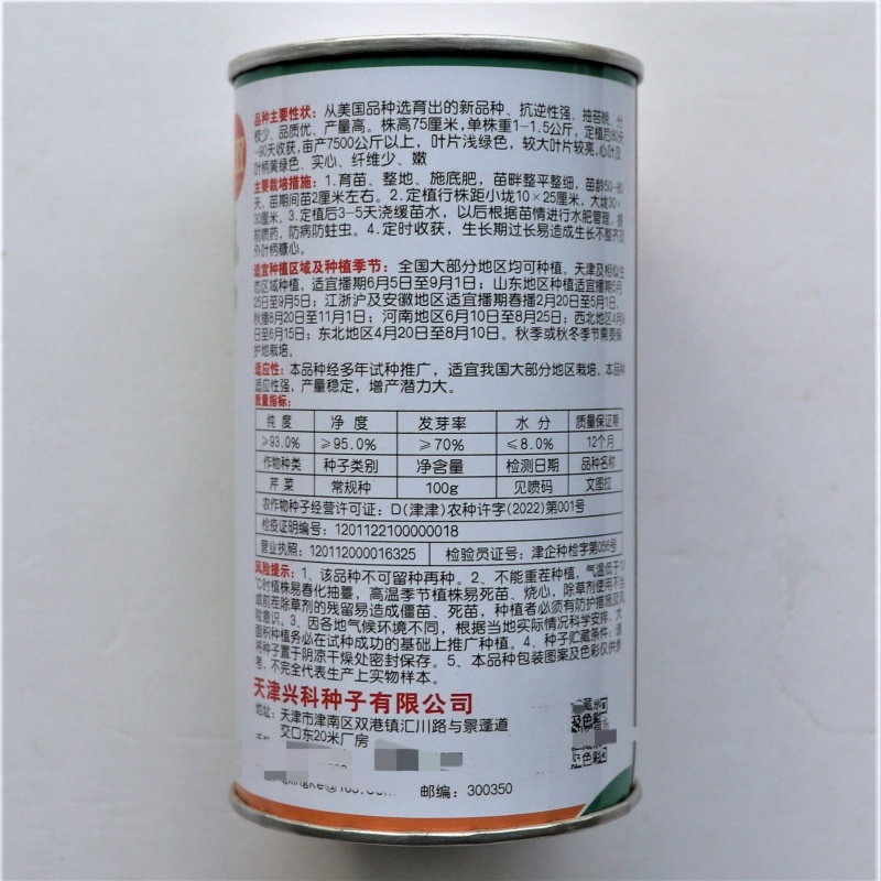 文图拉精品西芹种子抗逆性强抽苔晚实心纤维少叶柄黄绿色