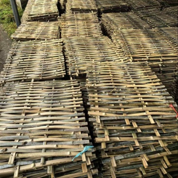 工地建筑竹笆片批发定做