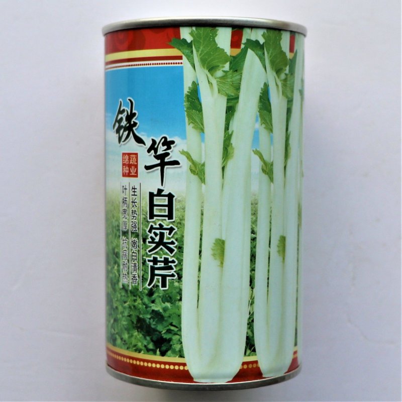 铁杆白实芹芹菜种子春秋耐热耐寒白西芹实心香脆芹菜蔬菜