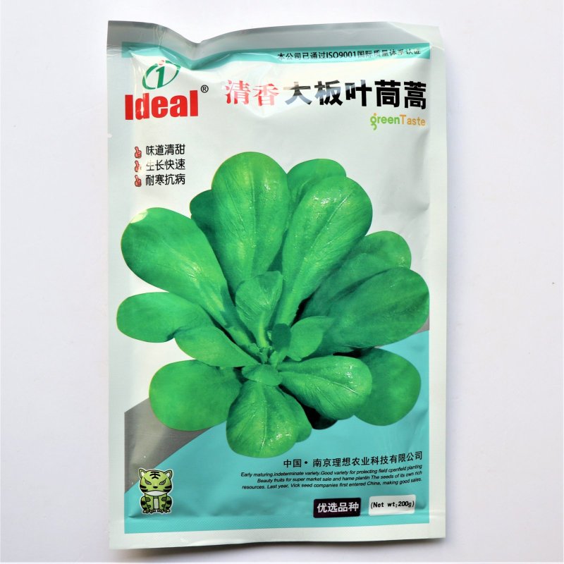 理想清香大板叶茼蒿种子味清甜叶鲜绿高产耐寒抗病农家