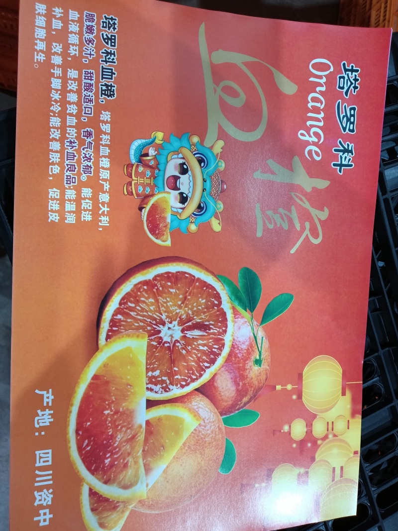 资中塔罗科血内外血丝甜度都没得说的！货比价！