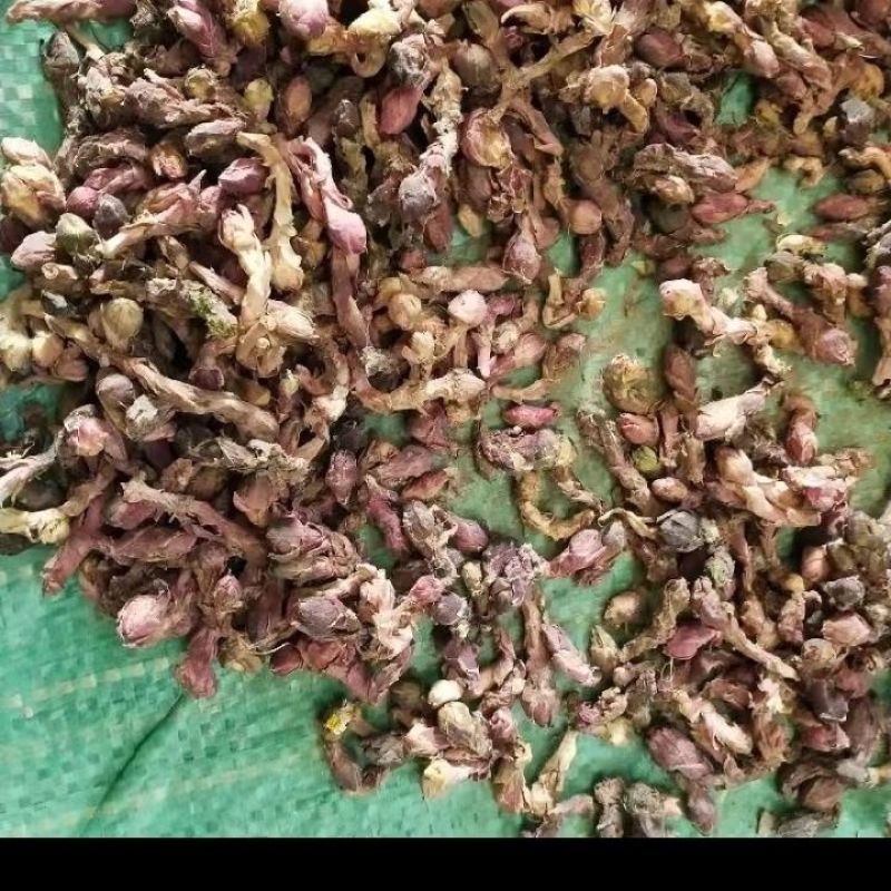 款冬花中药材冬花无硫新货产地直销