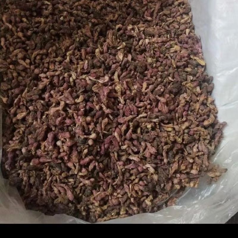 款冬花中药材冬花无硫新货产地直销