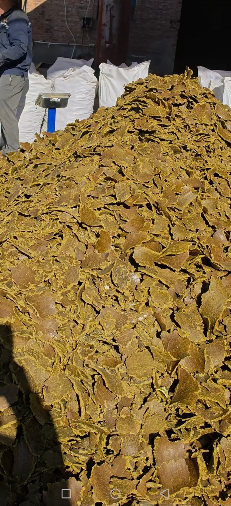 棉籽饼厂家直销，现货供应，要货量大可优惠