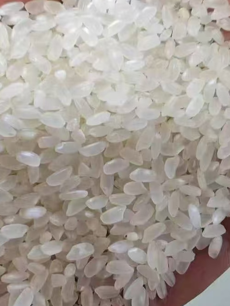 珍珠大米