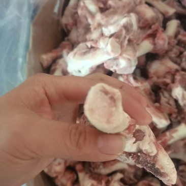 多肉羊棒骨