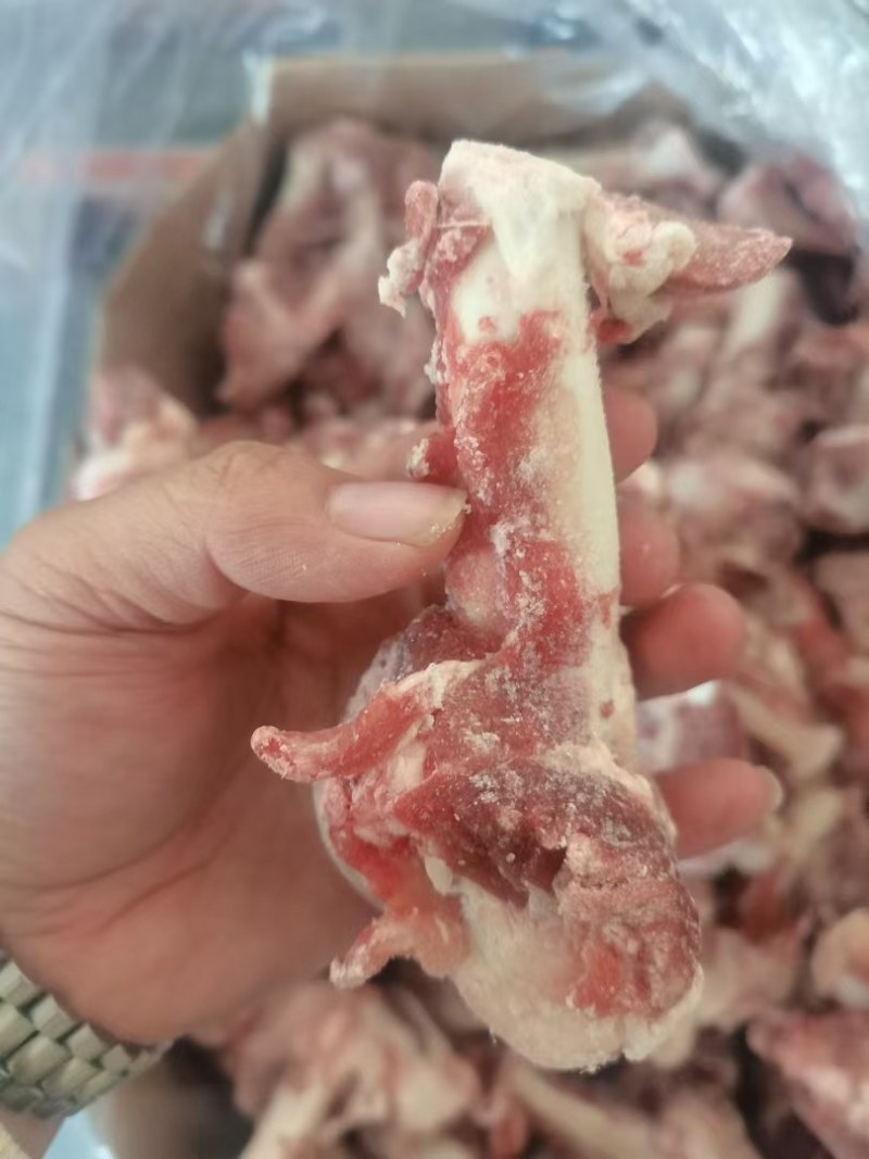 多肉羊棒骨