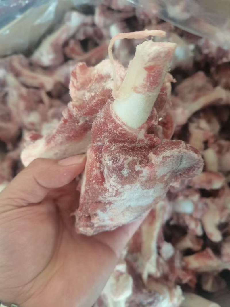 多肉羊棒骨