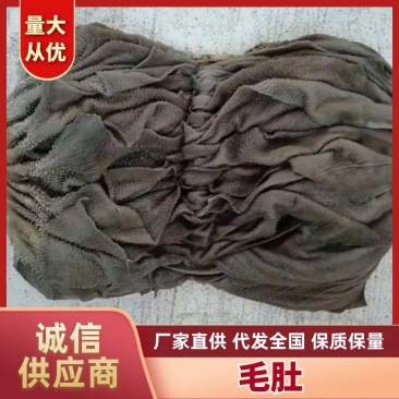 牛毛肚，牛百叶黑毛肚，鲜毛肚，火锅毛肚，批发牛毛肚