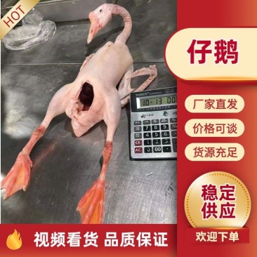 老鹅，公鹅，仔鹅，中龄鹅，去油肺，纯干货，一件可发