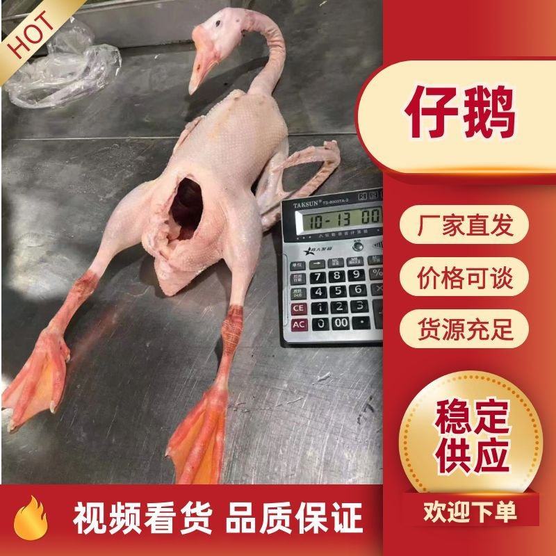 老鹅，公鹅，仔鹅，中龄鹅，去油肺，纯干货，一件可发
