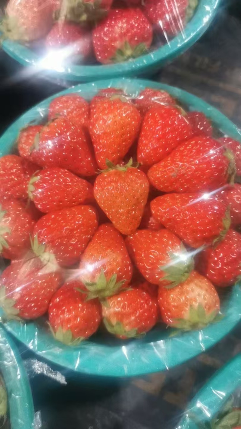 奶油草莓产地代发，中大颗粒，对接各大平台商超
