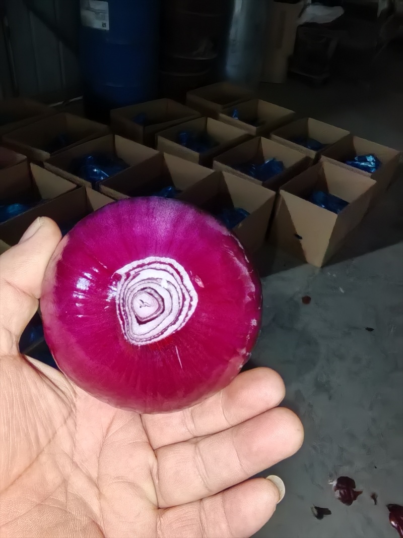 精品黄皮洋葱扒皮洋葱对接电商市场商超