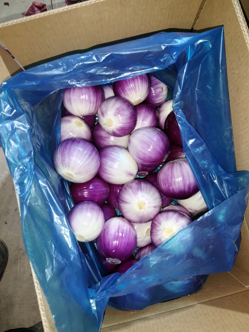 精品黄皮洋葱扒皮洋葱对接电商市场商超
