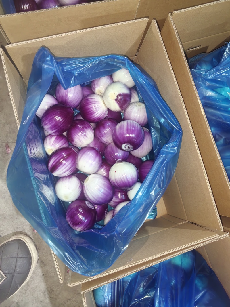 精品黄皮洋葱扒皮洋葱对接电商市场商超