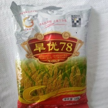 杂交水稻种子优质高产品种