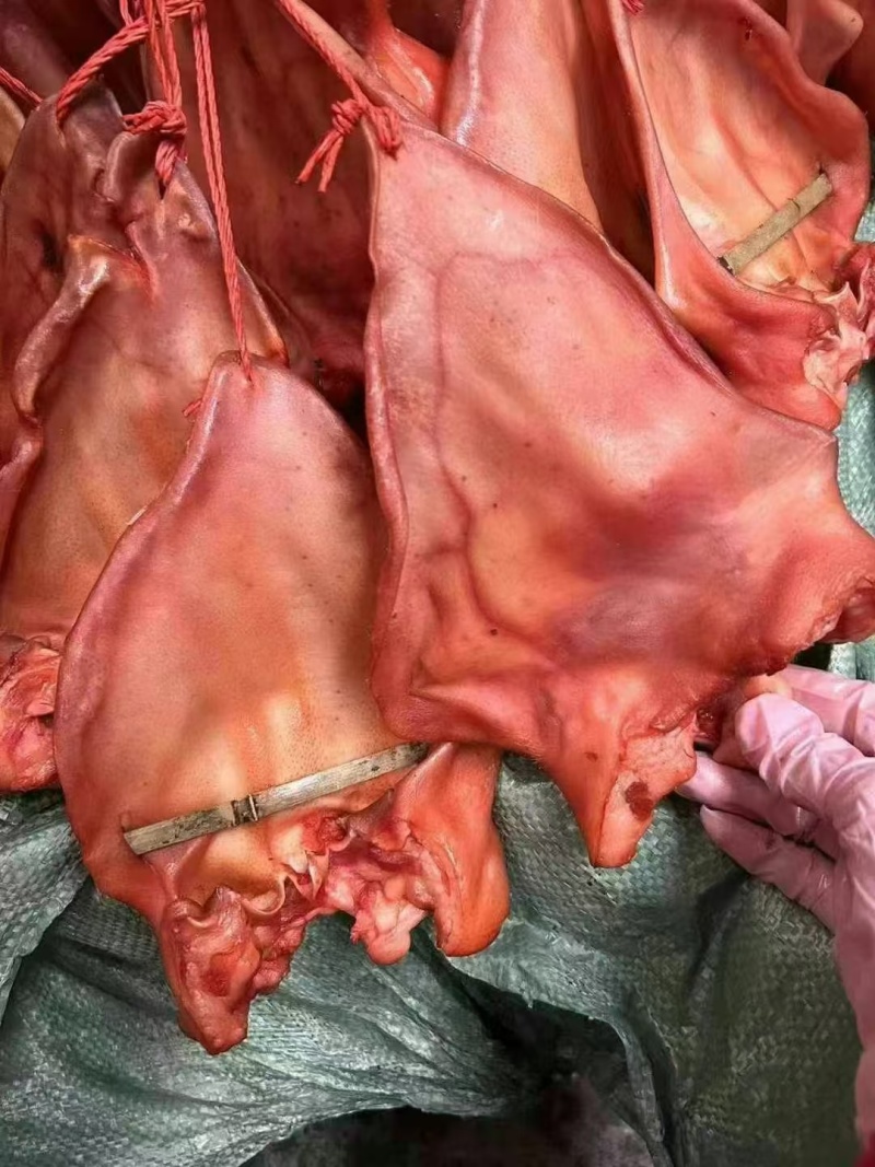 烟熏猪耳腊味独立挂绳地摊展销会批发