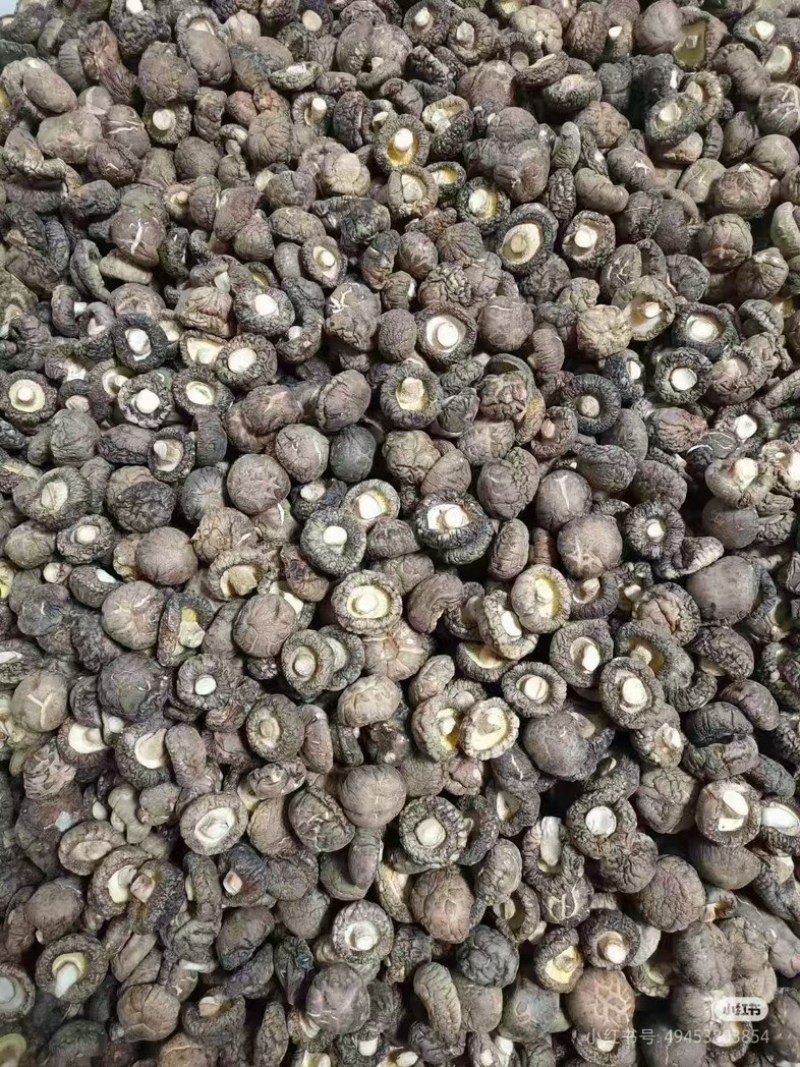 【实力推荐】干香菇品质保证对接全国市场可视频看货