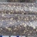 【实力推荐】干香菇品质保证对接全国市场可视频看货
