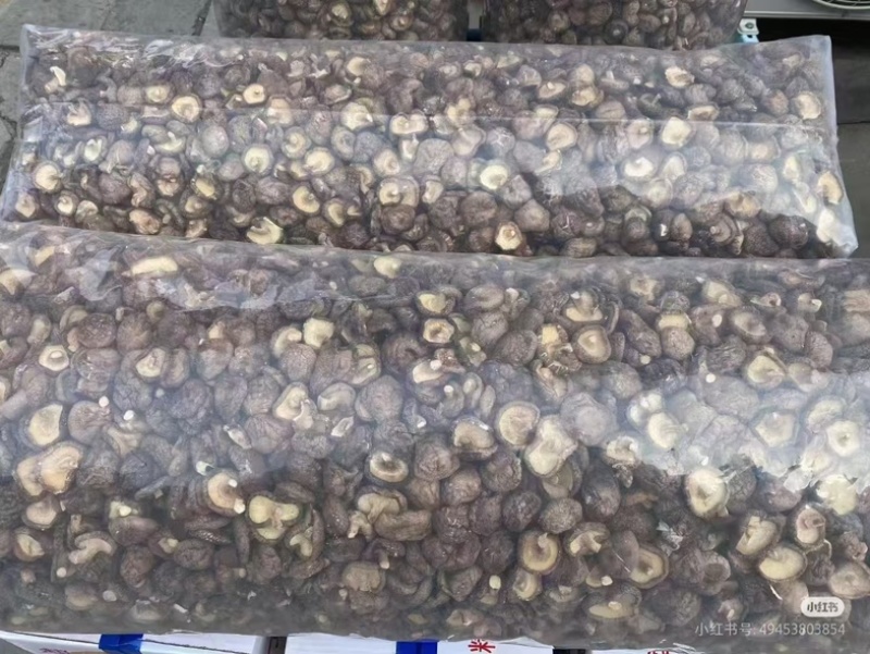 【实力推荐】干香菇品质保证对接全国市场可视频看货