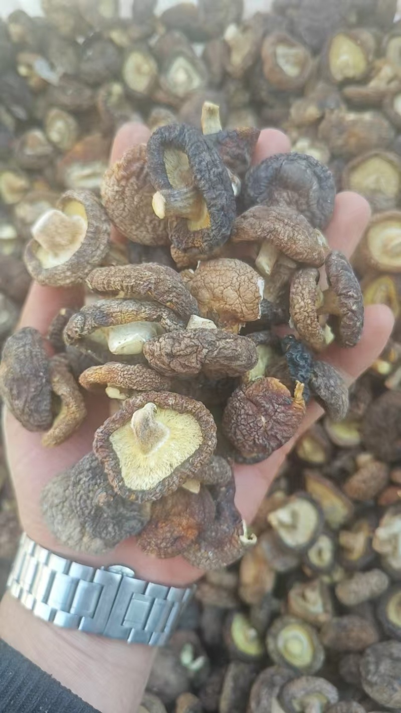 【实力推荐】干香菇品质保证对接全国市场可视频看货