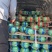 河南中牟县宁玉草莓大量上市供应各种渠道需要联系我吧