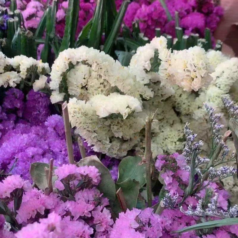 勿忘我鲜花全年可卖一手货源鲜花批发