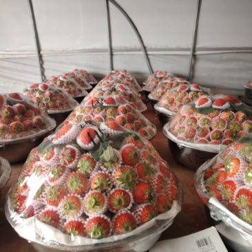 新鲜当季草莓，甜蜜多汁，**特惠！
