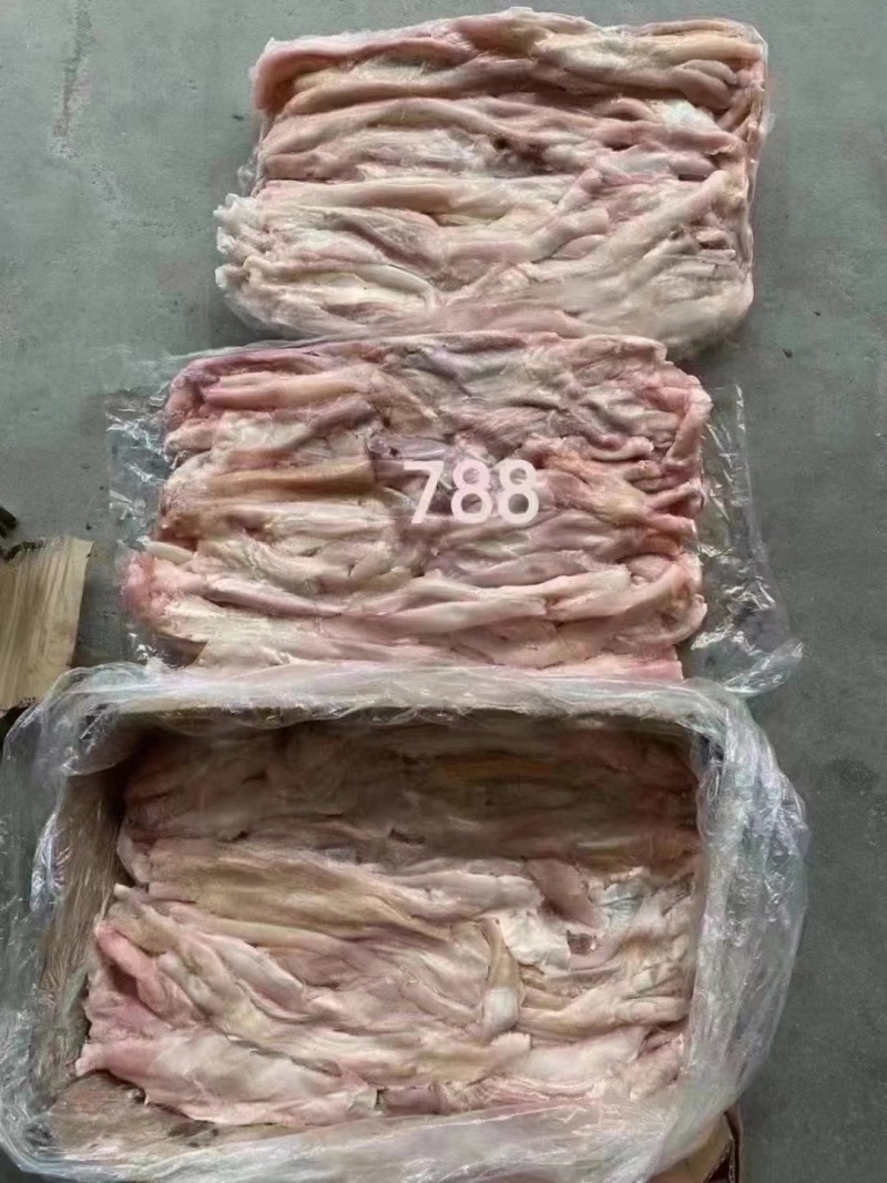 牛蹄筋
