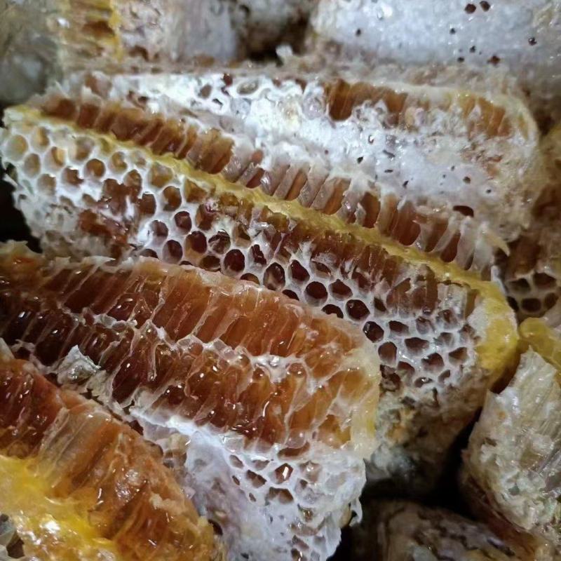 蜂巢蜜农家养殖蜂蜜一手货源批发