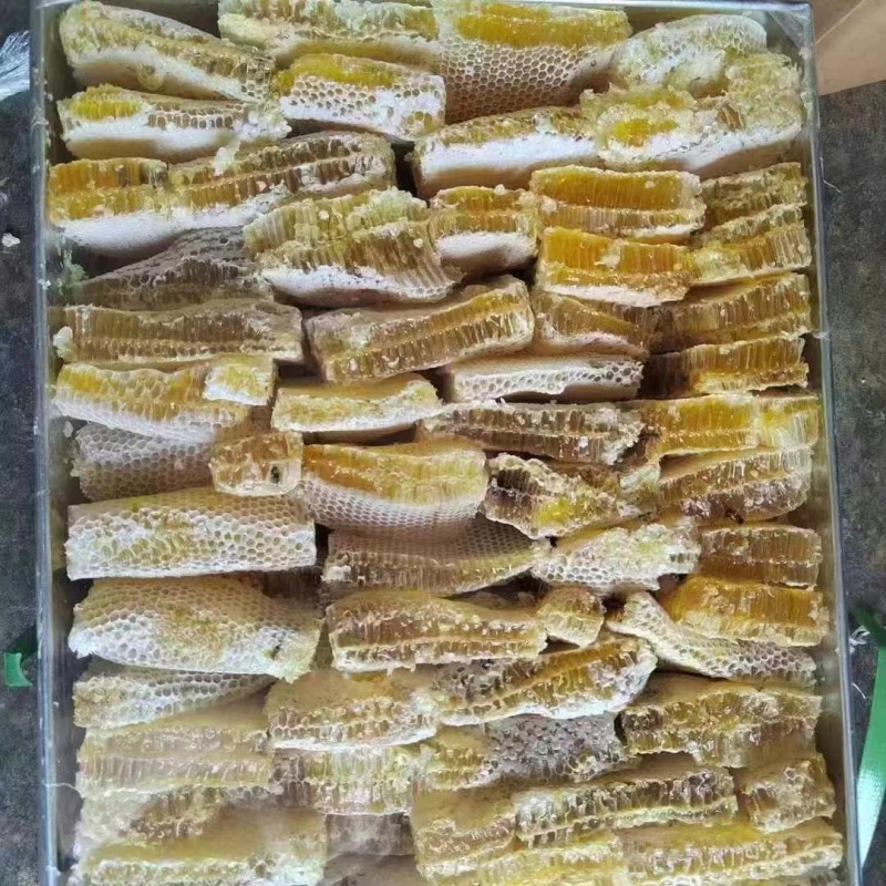蜂巢蜜农家养殖蜂蜜一手货源批发