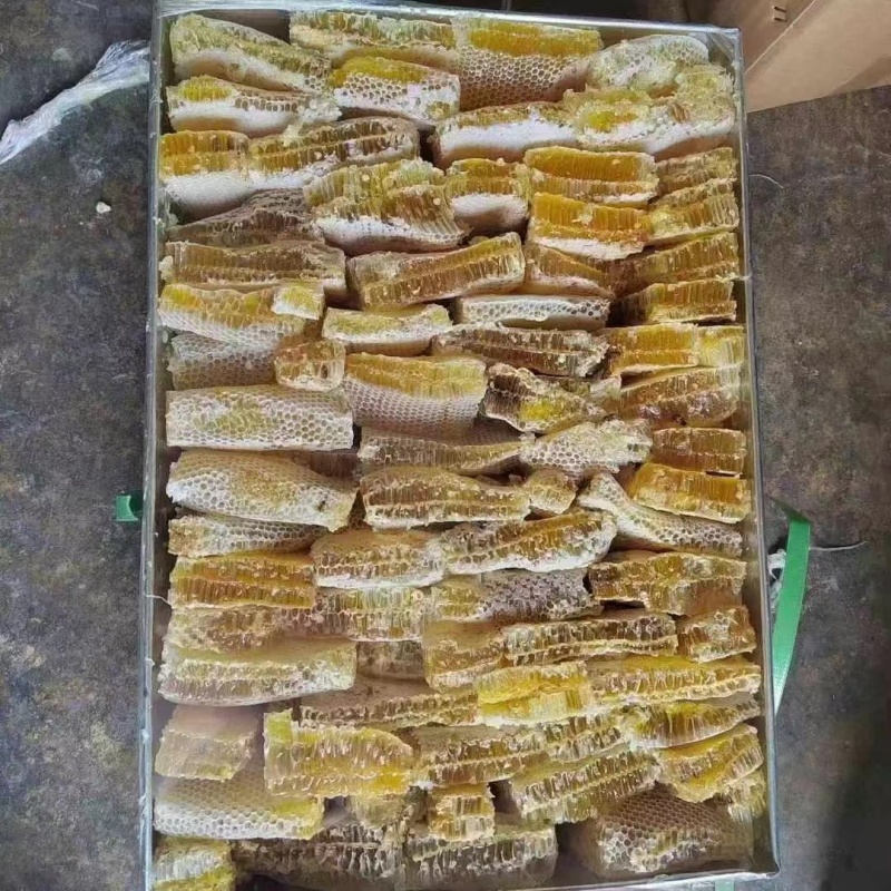 蜂巢蜜农家养殖蜂蜜一手货源批发