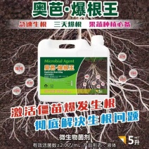 爆根王微生物菌肥三天爆根急速生根护根壮根肥料