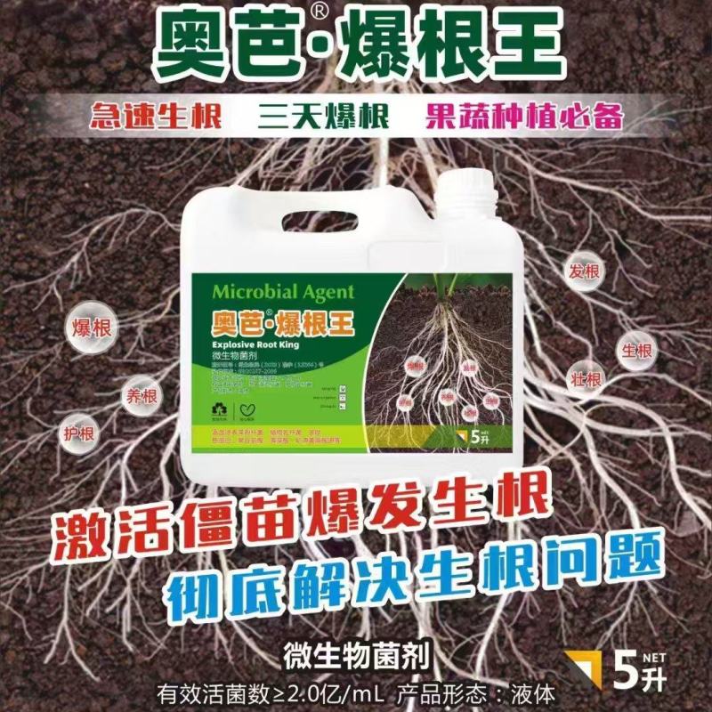 爆根王微生物菌肥三天爆根急速生根护根壮根肥料