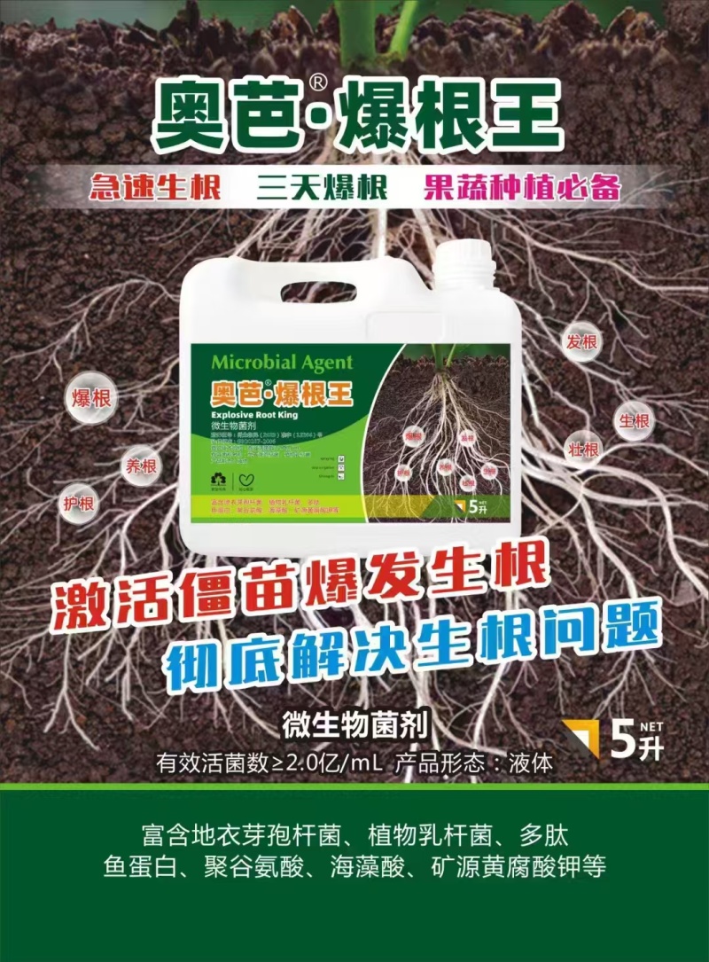 爆根王微生物菌肥三天爆根急速生根护根壮根肥料