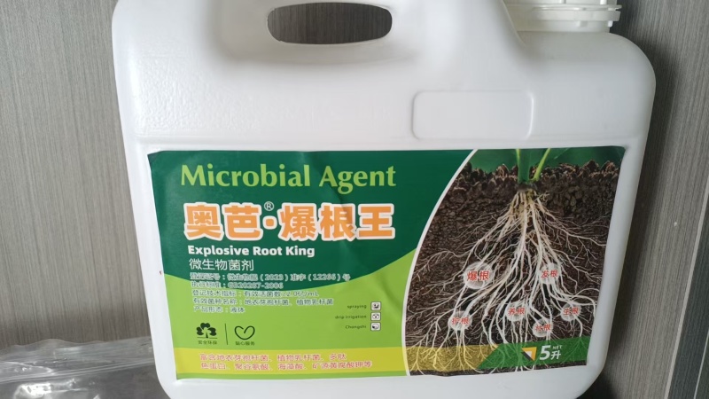 爆根王微生物菌肥三天爆根急速生根护根壮根肥料
