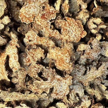 苍术内蒙朱砂点苍术关书药业批发中药材