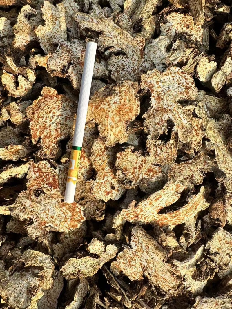 苍术内蒙朱砂点苍术关书药业批发中药材