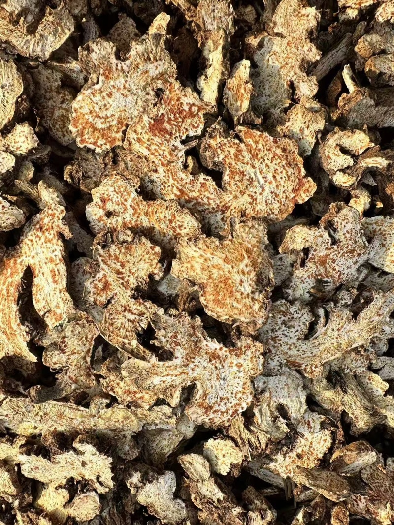 苍术内蒙朱砂点苍术关书药业批发中药材