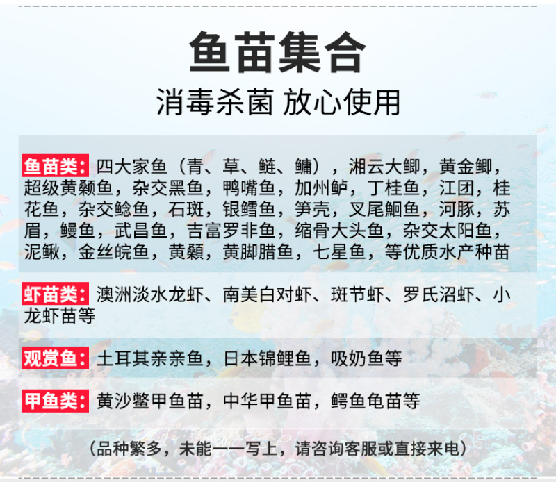 中科五号鲫鱼苗黄金鲫鱼苗彭泽鲫送货上门